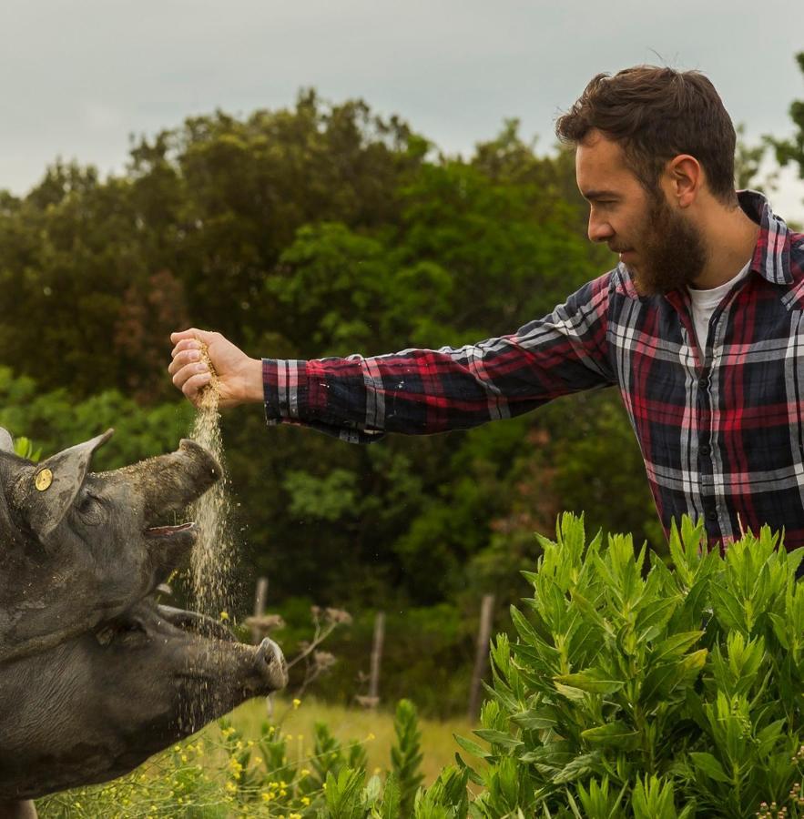 וולטרה Agriturismo Alle Rose מראה חיצוני תמונה