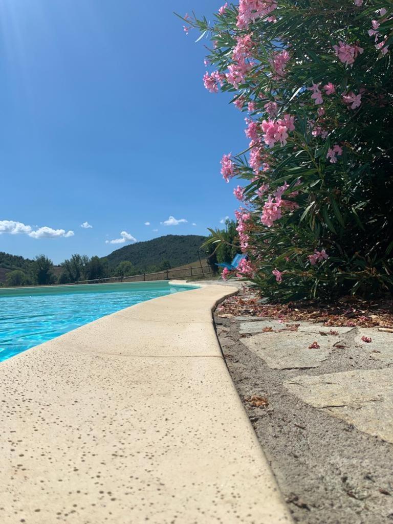 וולטרה Agriturismo Alle Rose מראה חיצוני תמונה