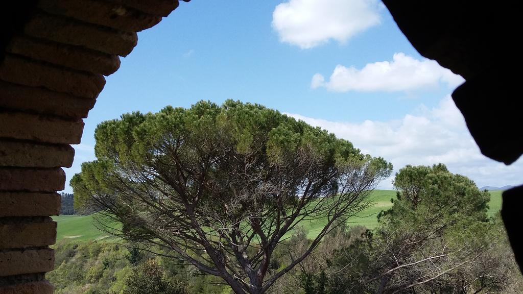 וולטרה Agriturismo Alle Rose מראה חיצוני תמונה